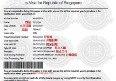 新加坡签证办理流程及注意事项