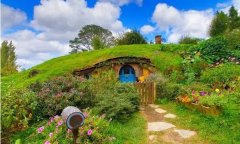 新西兰签证部分延期了,来看你持有的新