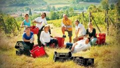 新西兰打工度假签证重新开放，想去新西